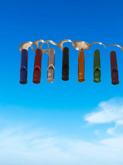 Safety Whistle Keychain or Backpack Tag